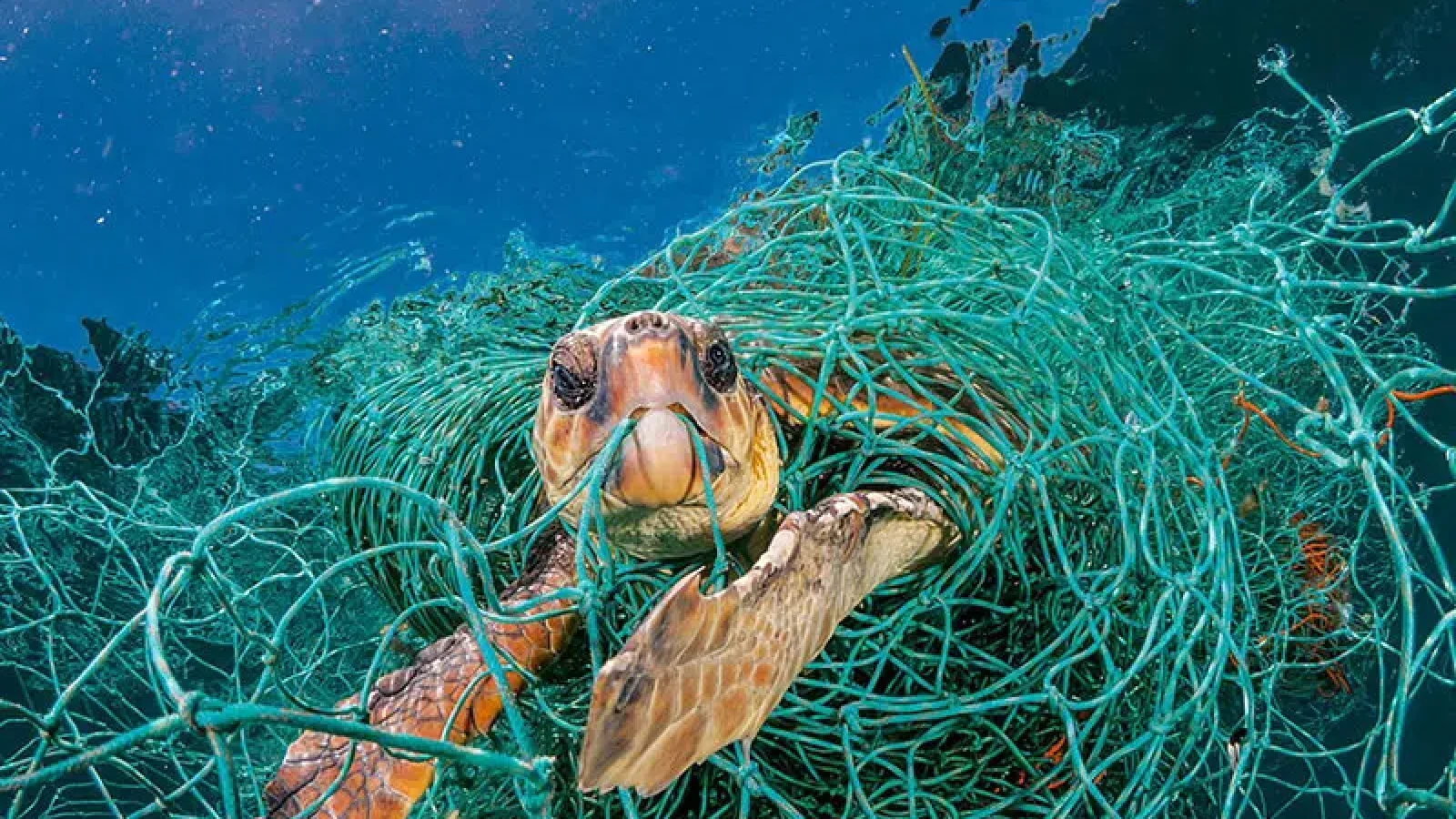 sustainable-fabric.jpg
